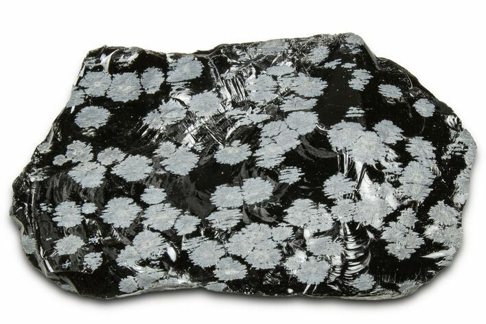 Snowflake Obsidian Section - Utah #327133